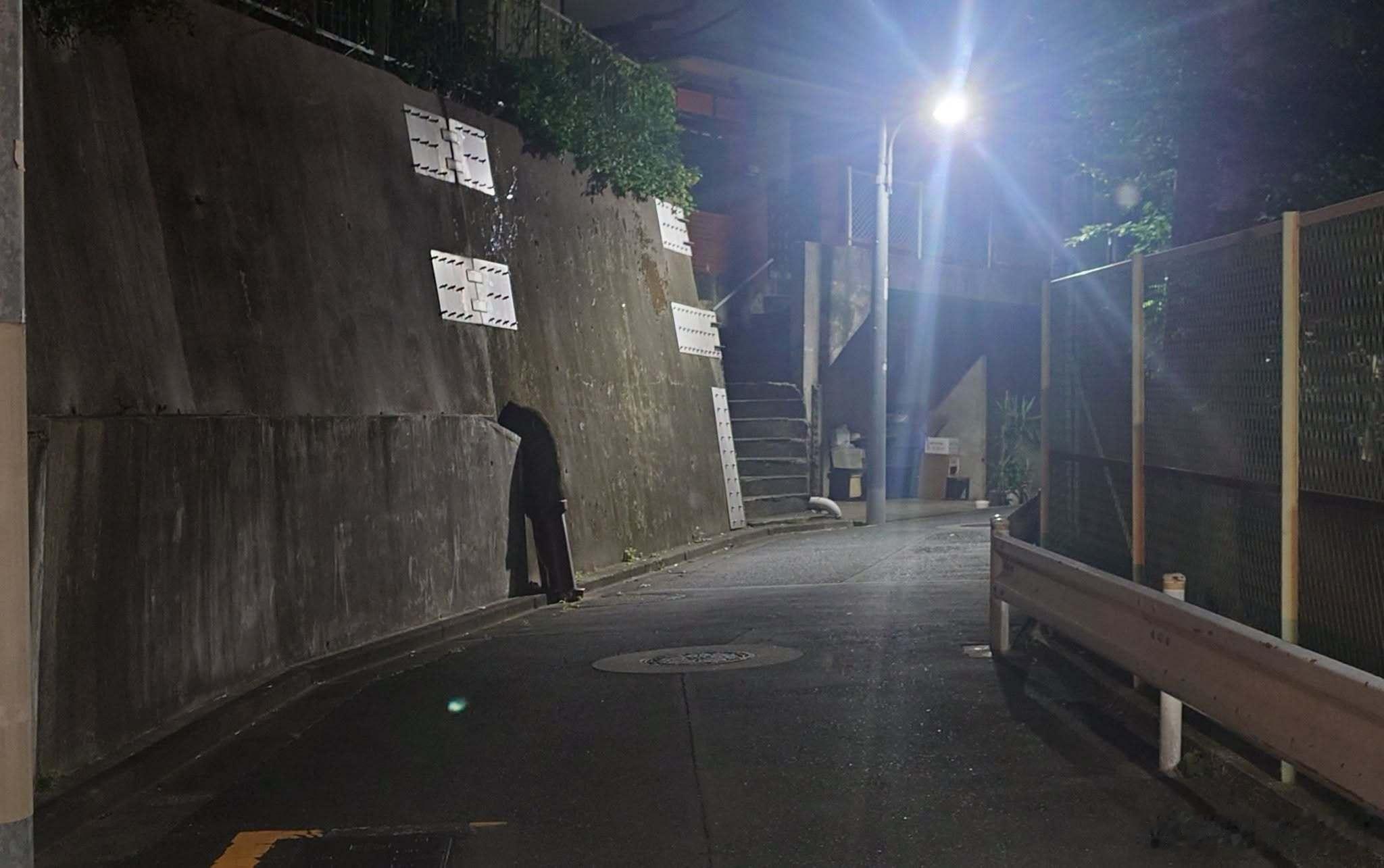 以为路上有怪人（结果原来是水管 