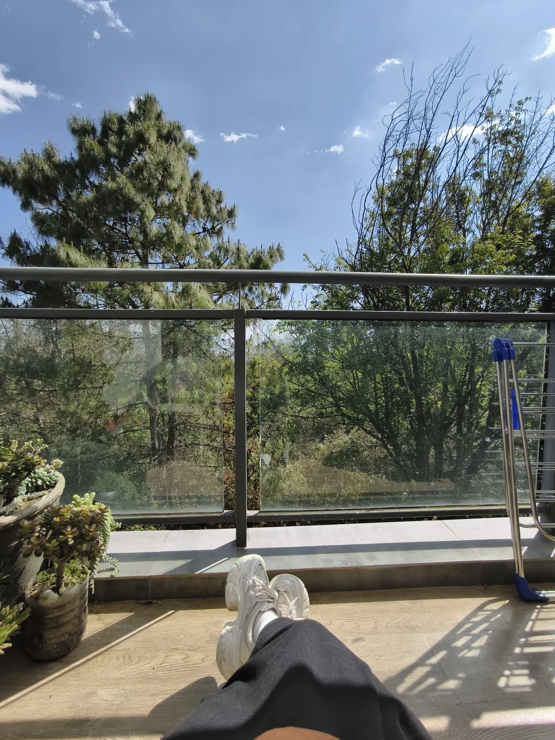 山水间🏠两室一厅live实景，窗外就是森林