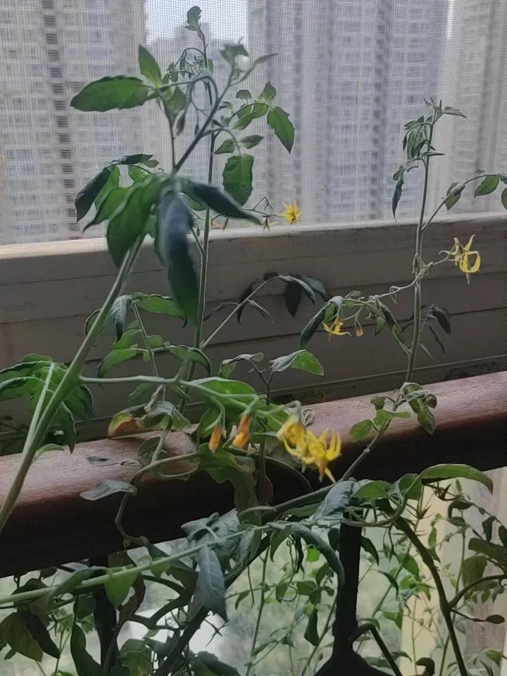 人这一生，亏欠最多的人是谁亏欠自己最多