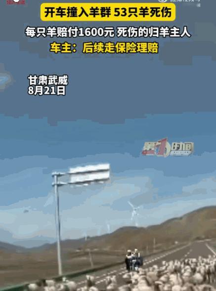 飞来横祸！甘肃武威，一男子驾车行驶在路途中，因一时分神没注意前方路况，猛然撞向了