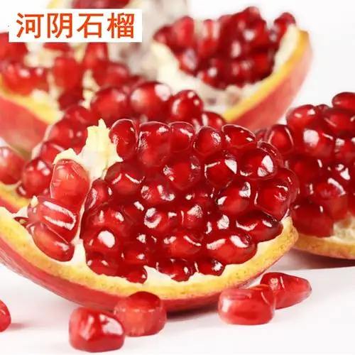 荥阳的土特产有：荥阳柿饼、荥阳炕饼、荥阳霜糖、金银花、广武大葱、河阴石...