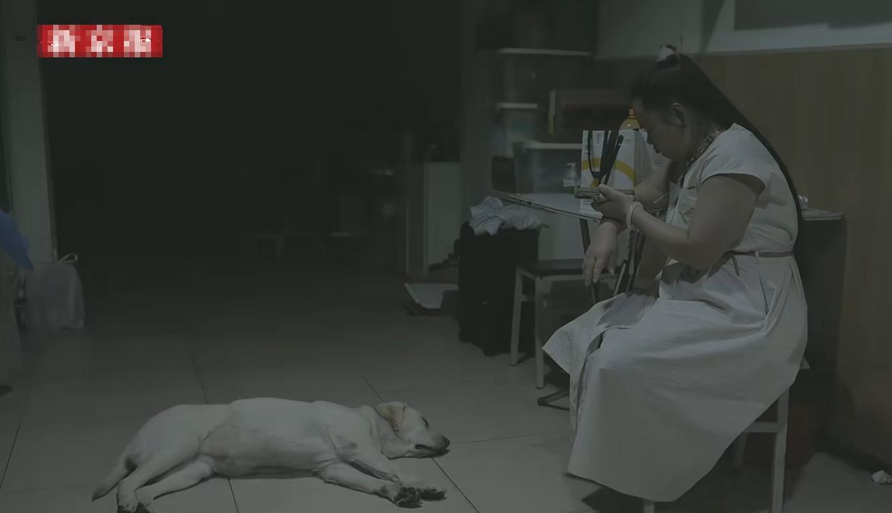 我拿着芬迪的视频问我身边养狗的朋友，

你觉得王女士把芬迪养的怎么样？

朋友看