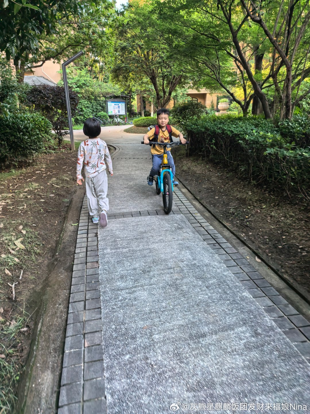 傍晚蓝蓝的天 绿绿的树 去游泳的团子