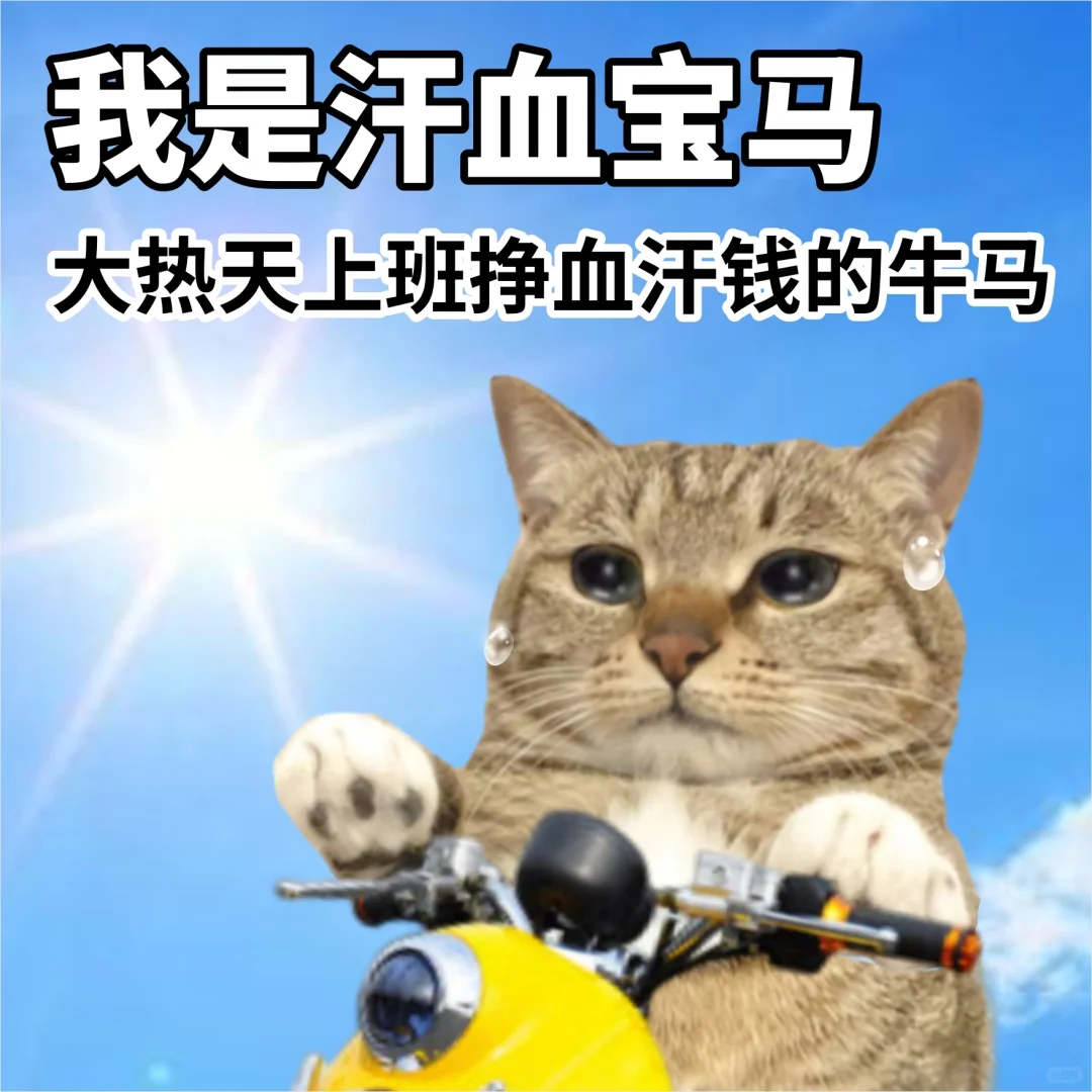 出身寒门都顶不住这么热表情包