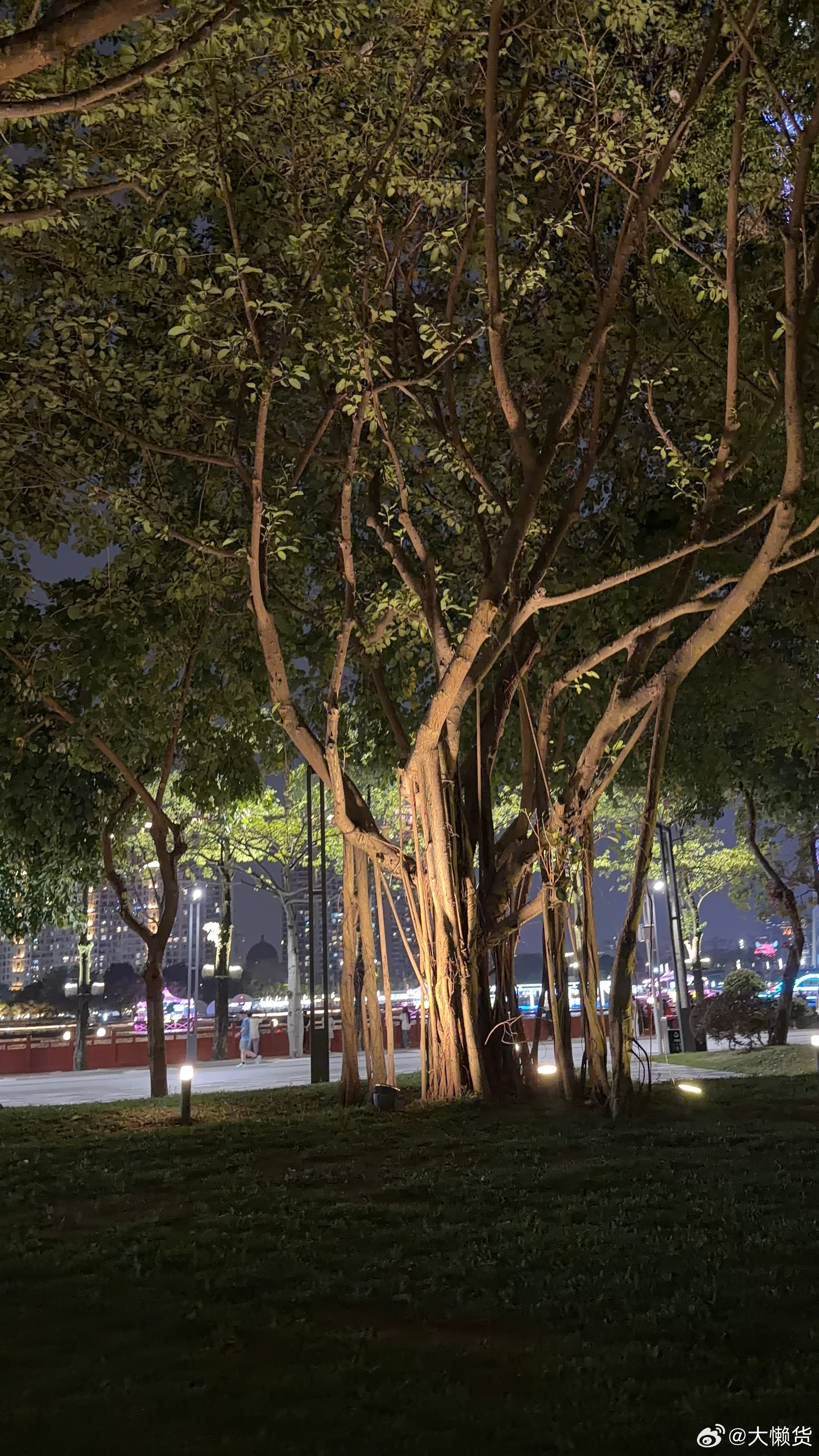 其实这是新的颜色牛油果绿—Mona 03还真挺好看的，晚上拍出来有点偏米色有一些