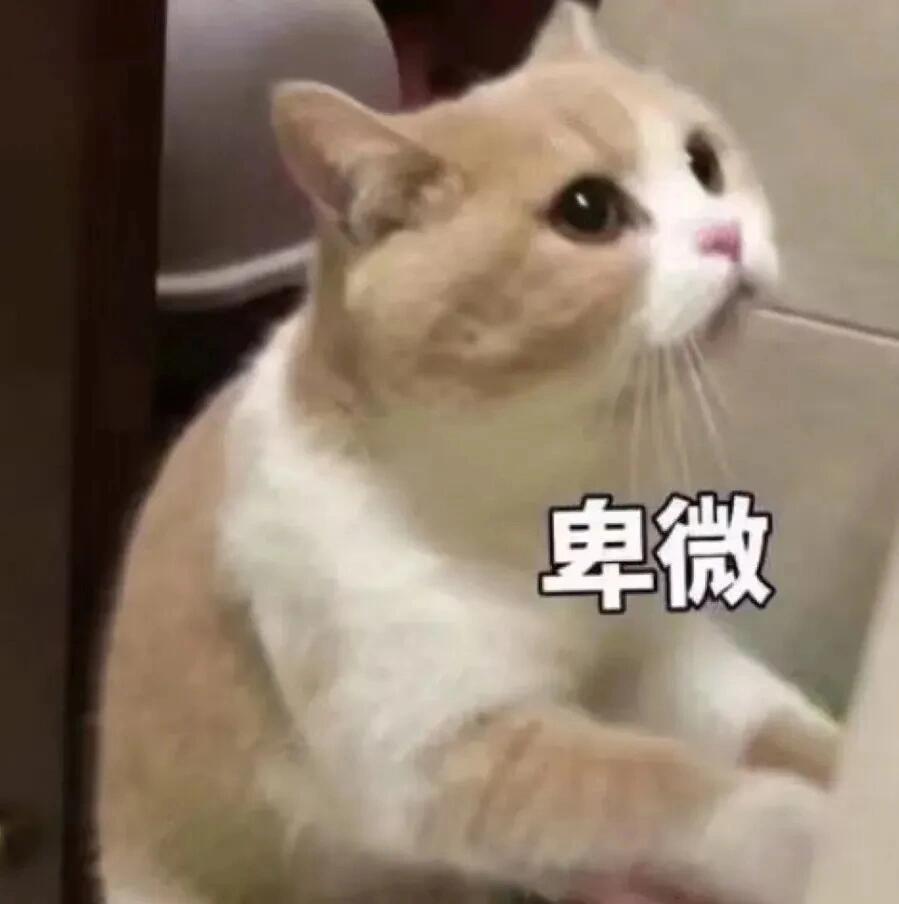 一博这条在来1.4万👍就能百万，在今天新微博来之前速度结束 ​​​