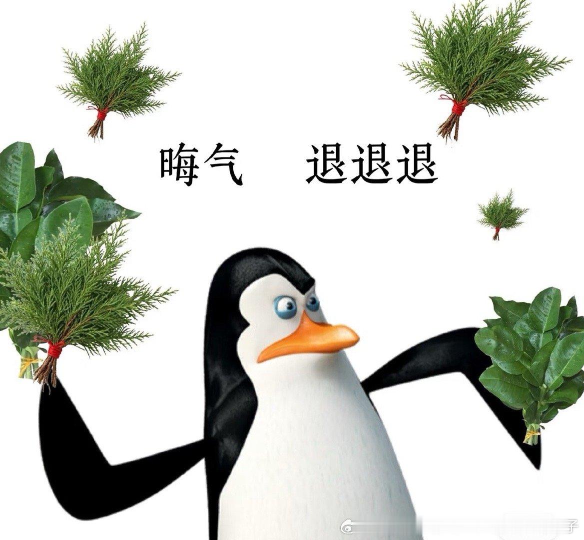 分享图片 