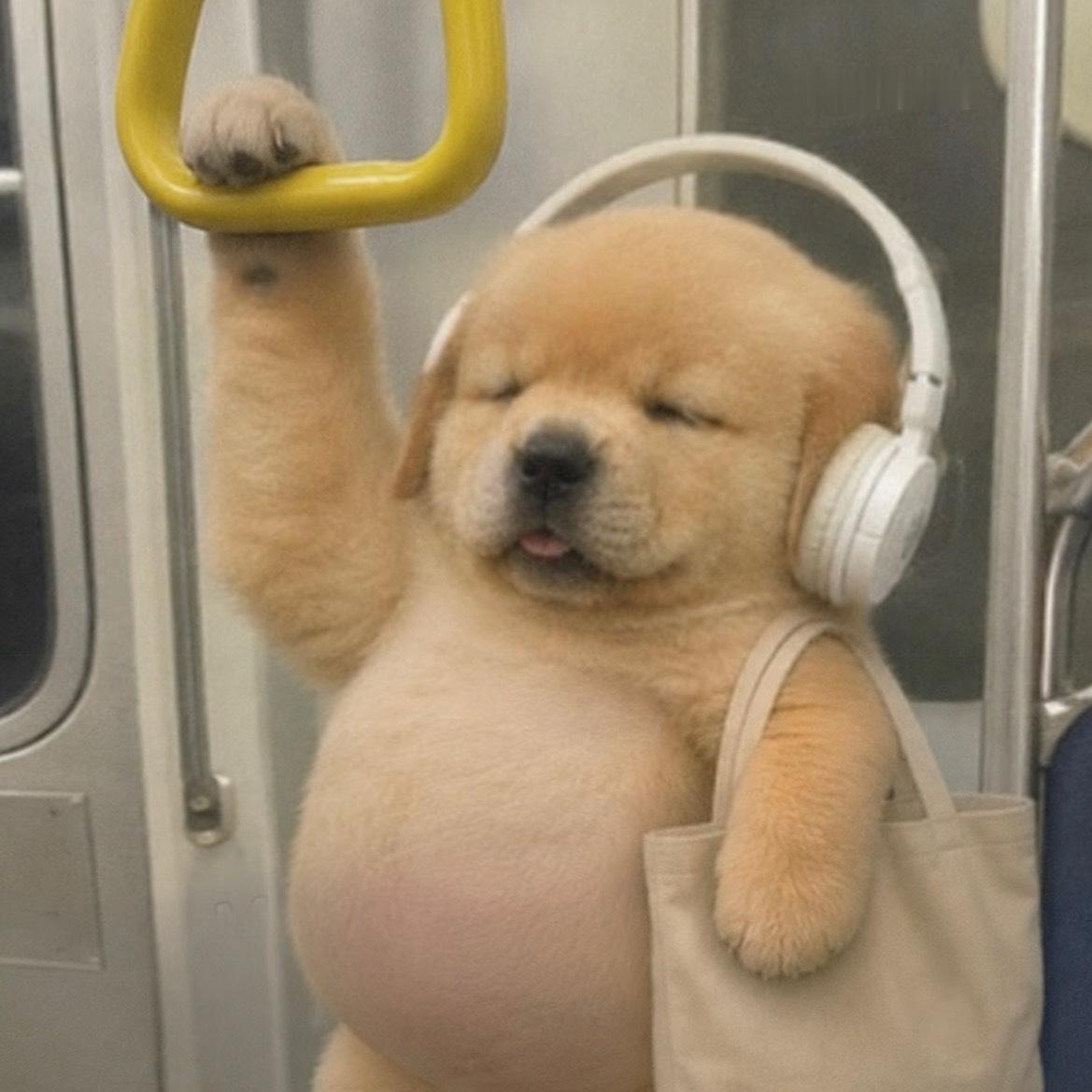 真热🥵 ​​​