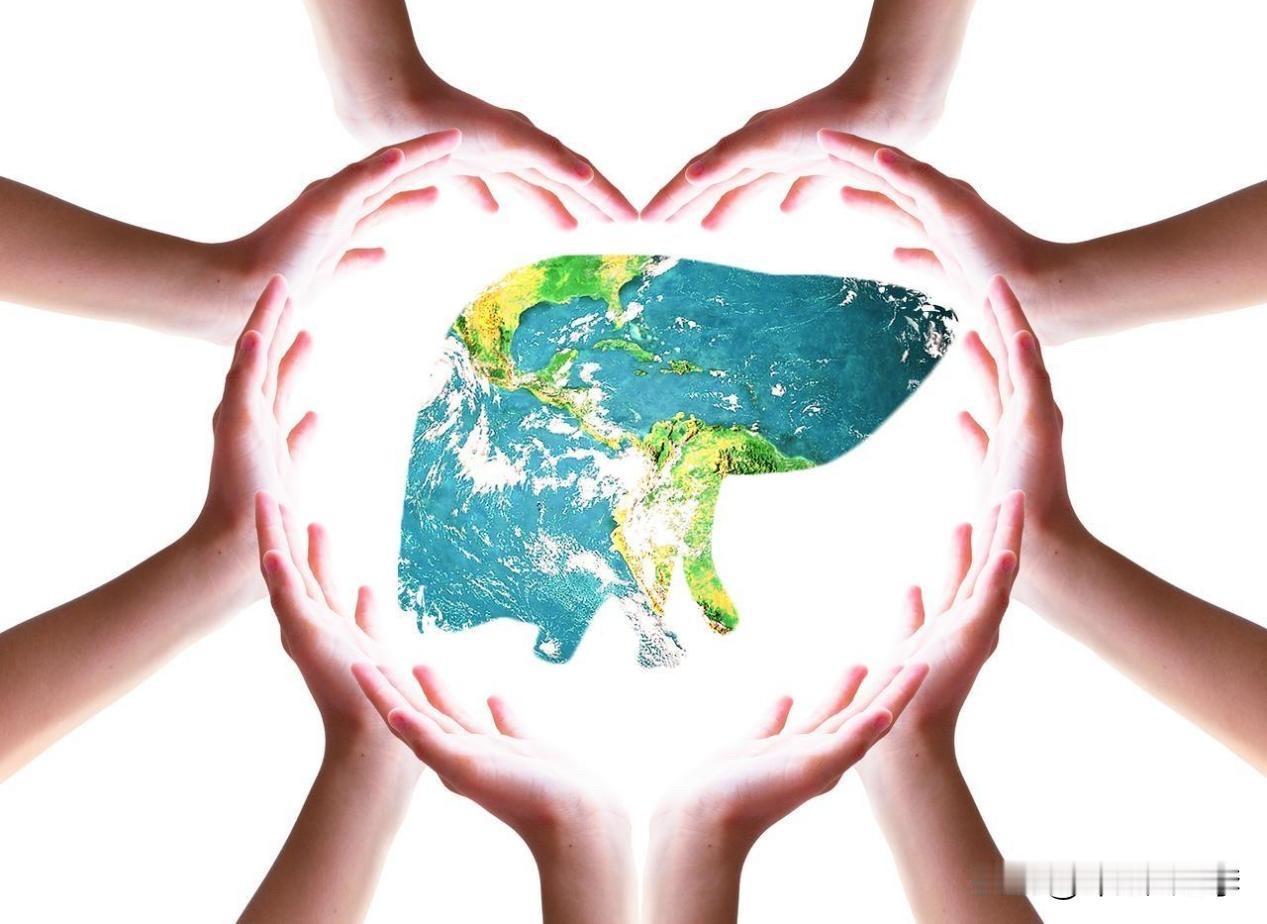 你的肝，还好吗？
2026全国爱肝日 主题直击痛点：
遏制肝硬化，远离肝癌！
