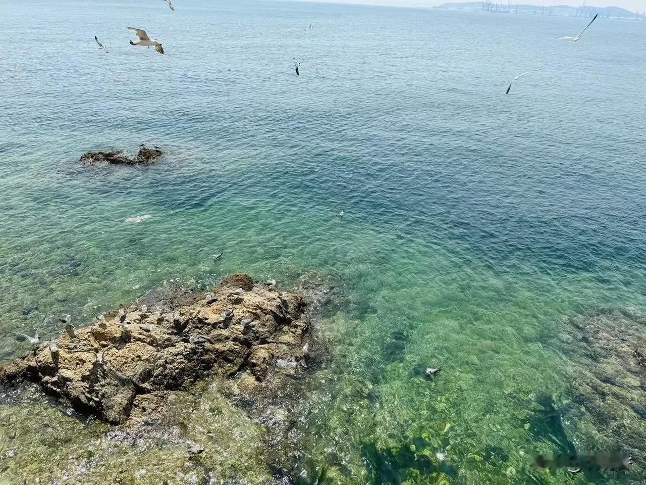 夏日生活打卡季就到海边走走停停，吹吹海风，看看望不到尽头的对面