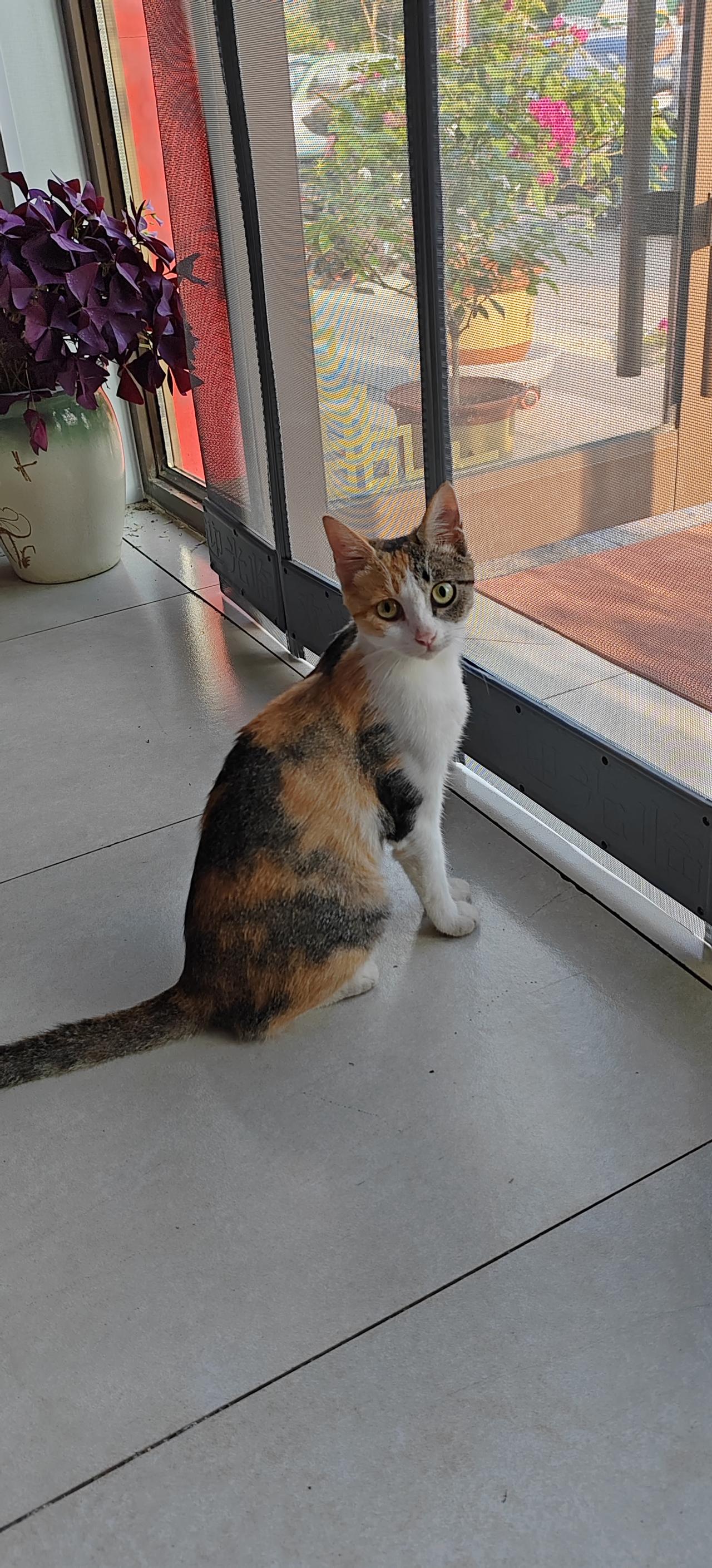 把最想实现的事情放在心里，把最开心的事情告诉你。把最美丽的情怀送给你，把最温暖的