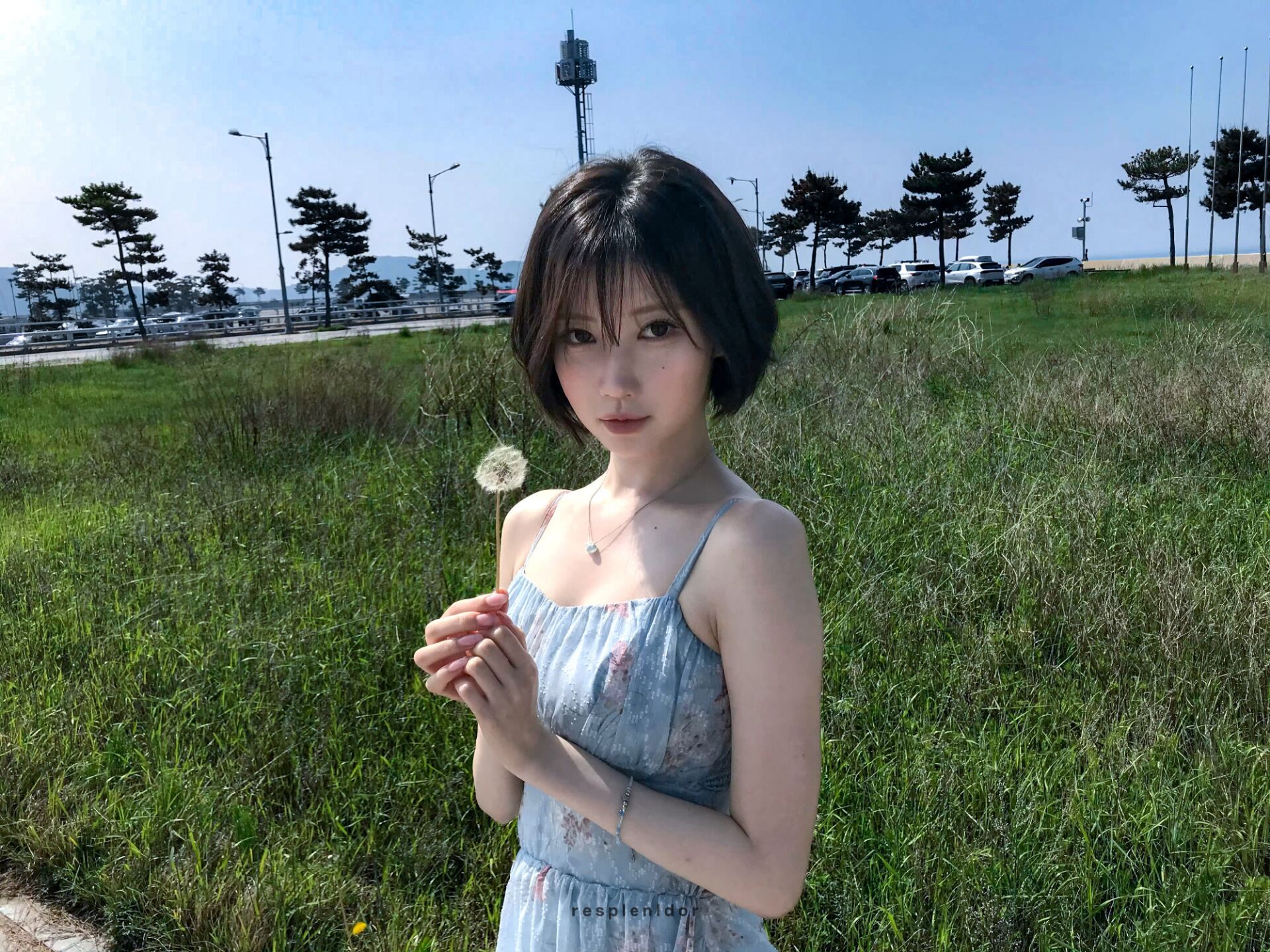 卢/惟/那×榎/並/杏/纱艾莎安娜组合 