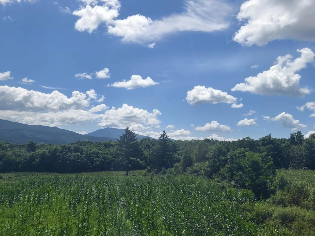 车里拍的东北的天空，通透，纯洁，好美好美！！阳光刺眼，理解欧美人喜欢戴墨镜了！