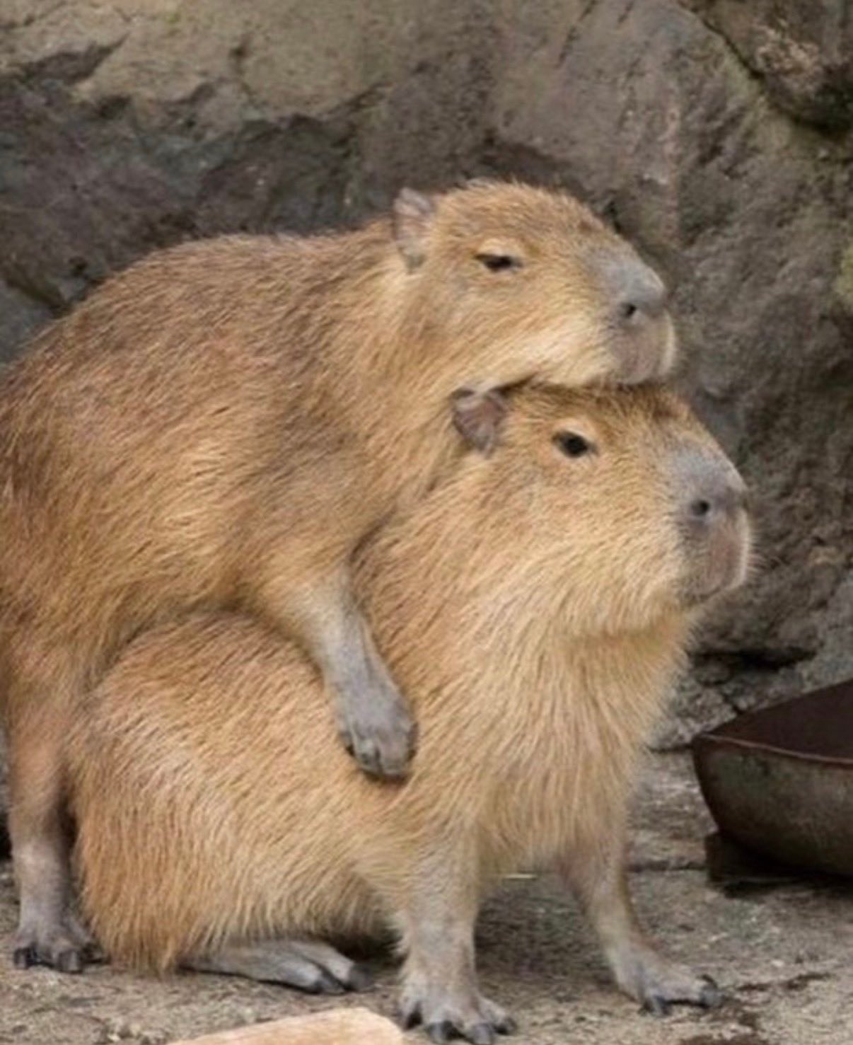 H2H崔志宇 x CARMEN 