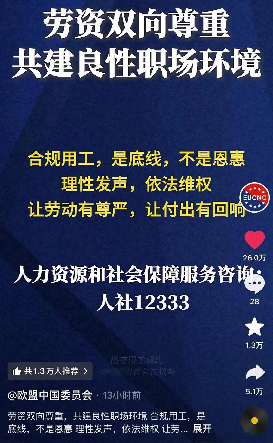 欧盟NGO账号发视频呼吁中资企业依法用工，网友竟留言希望实行12小时两班倒的企业