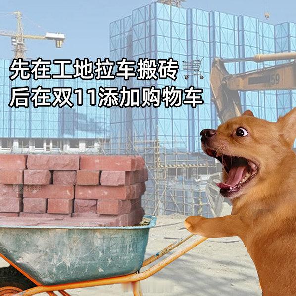 #看看你的双11购物车#搬完砖，又要在双11添加购物车，促进经济内循环～ ​​​