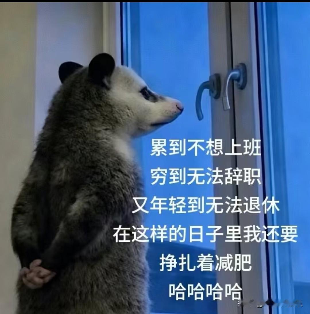 有没有人和我一样🤦‍♀️
疲惫不堪，实在没了上班的动力，
可囊中羞涩，又不敢轻