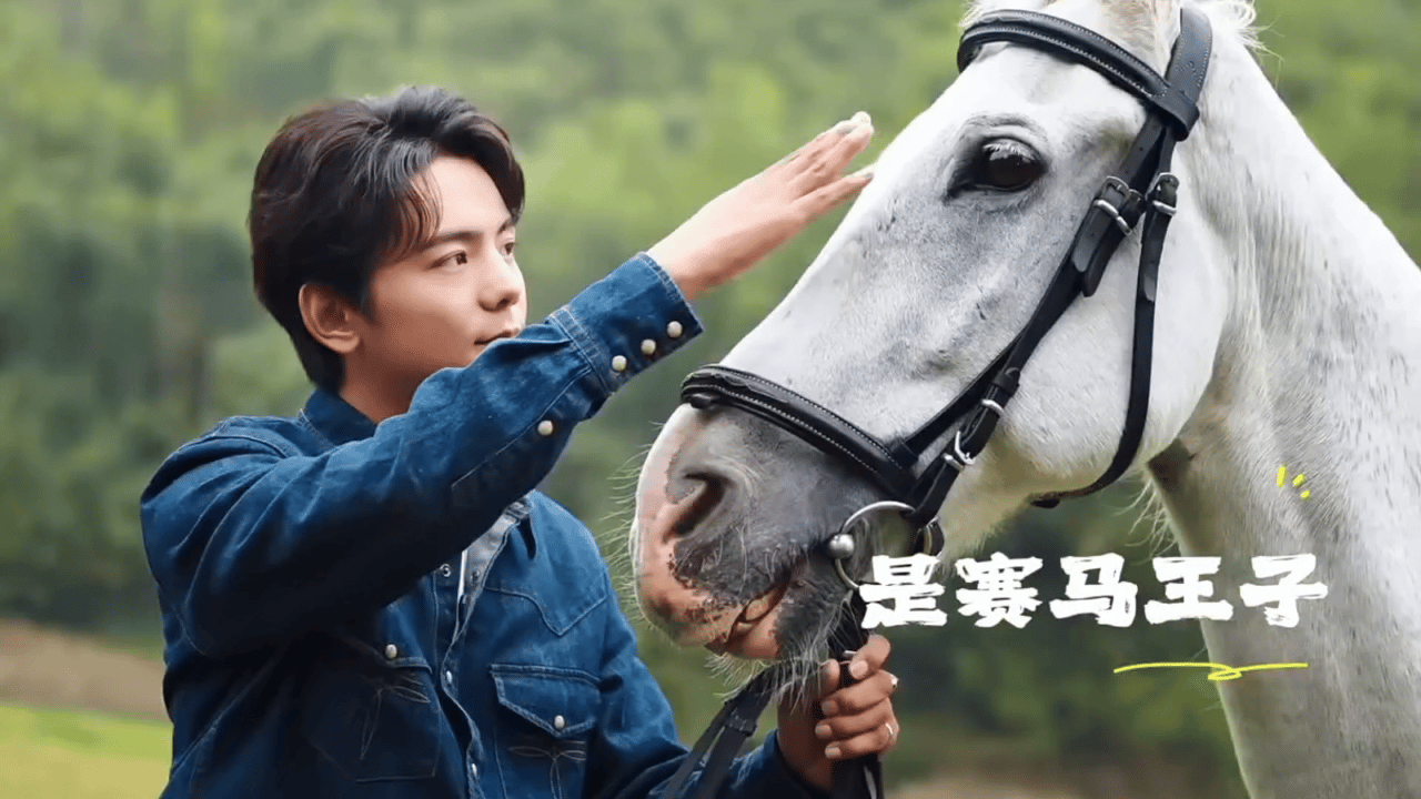 能应对征服一切困难的适应性特质，在翻山越岭的路上无往不胜。  