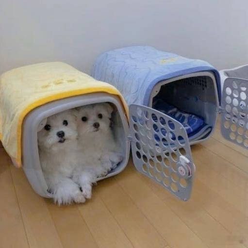完全就是呀 