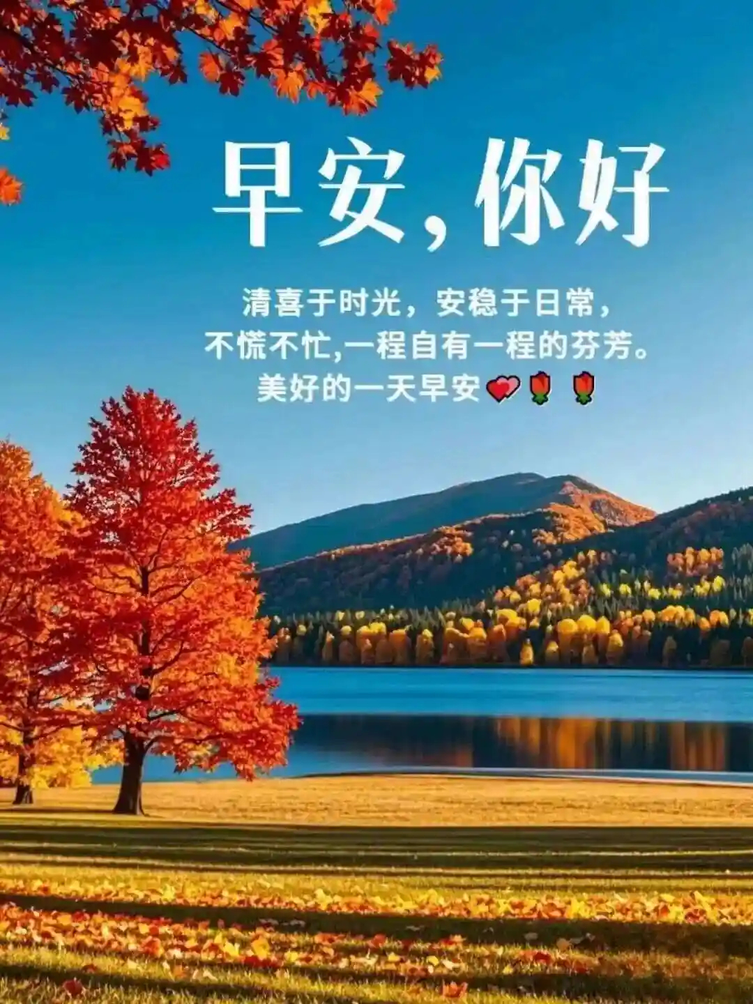 2026-1-15，星期四，晴☀️〈11-27°C〉        🌻🌻早安