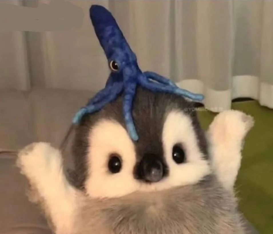 玩加早安早～今天周末想做些什么呢？ ​​​