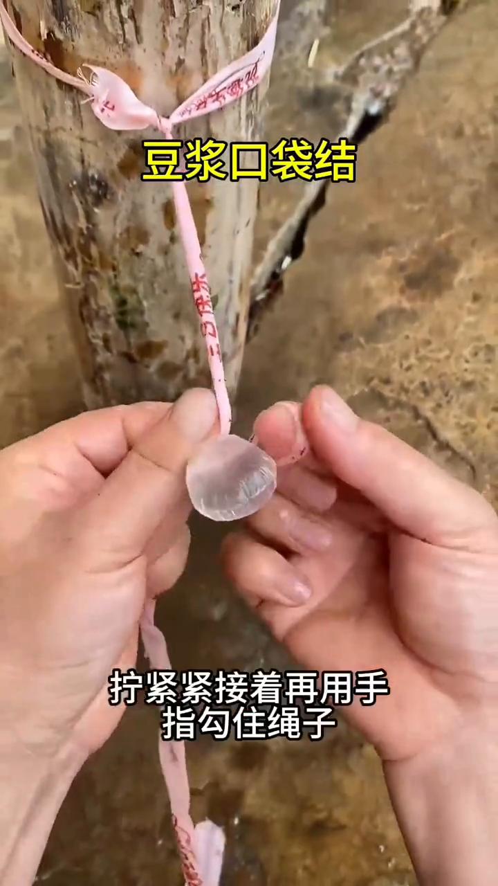豆浆口袋结。
教大家一招，该如何将短小的袋子口打结。
·只需要准备一根长绳子，随