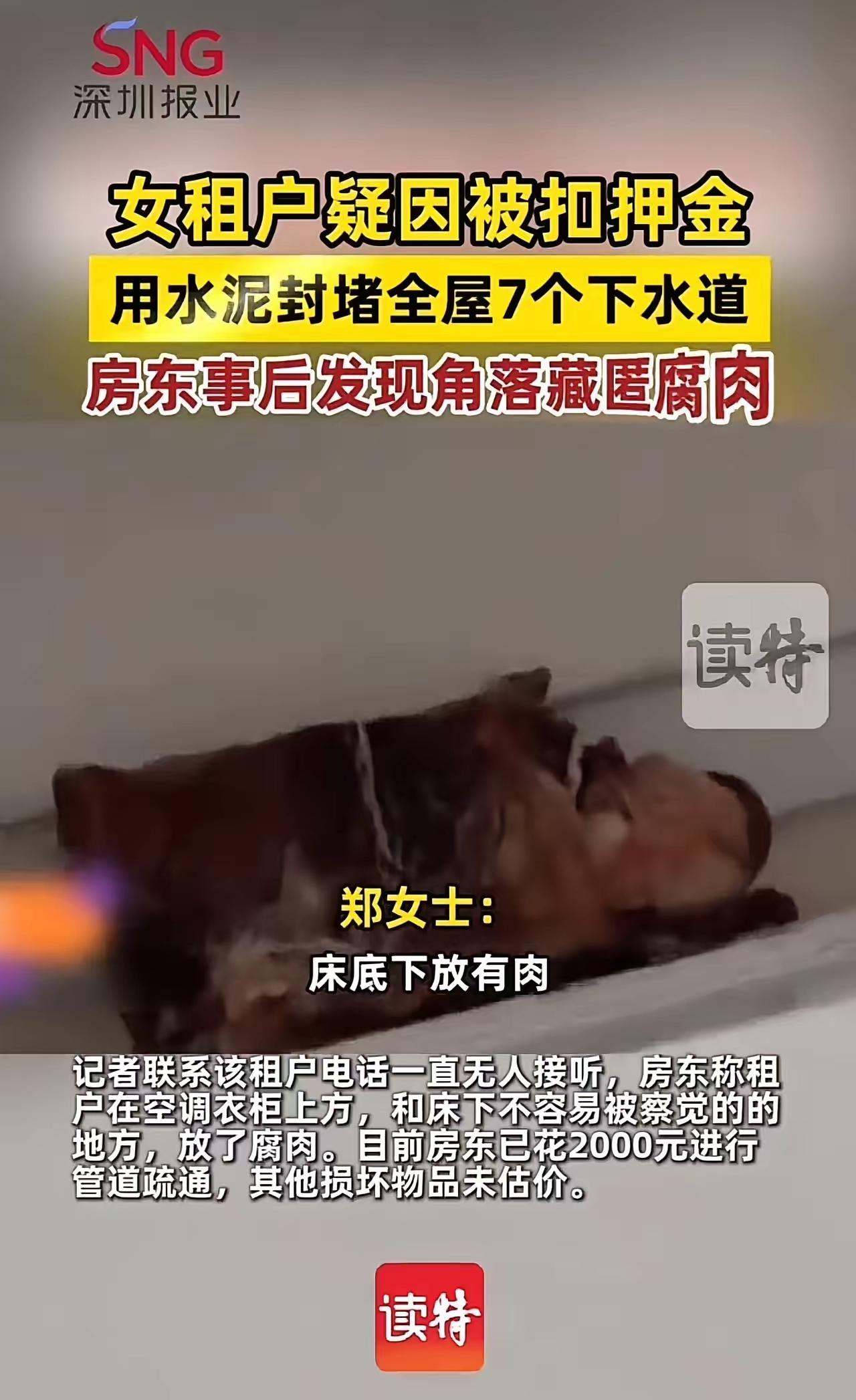 租客扣押金遭报复：水泥封管、暗放腐肉，租房矛盾别走向极端
 
好聚好散本是租房退