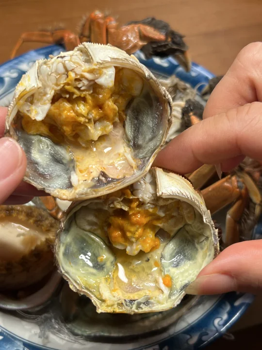 谁懂啊！几十块实现螃蟹🦀自由