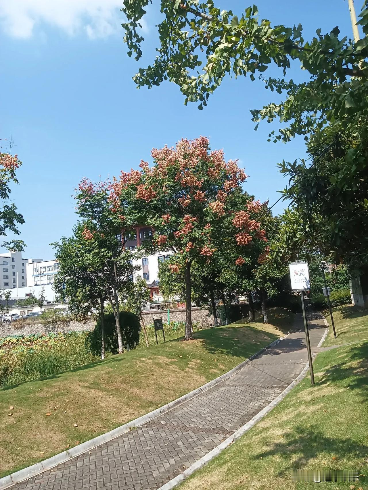 很多职场爸爸总以为，只要赚够家用就算尽到父亲的责任，其实这只是基础。

不少人陷