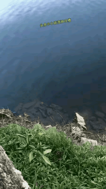 看到这你还敢去野外游泳吗？ 