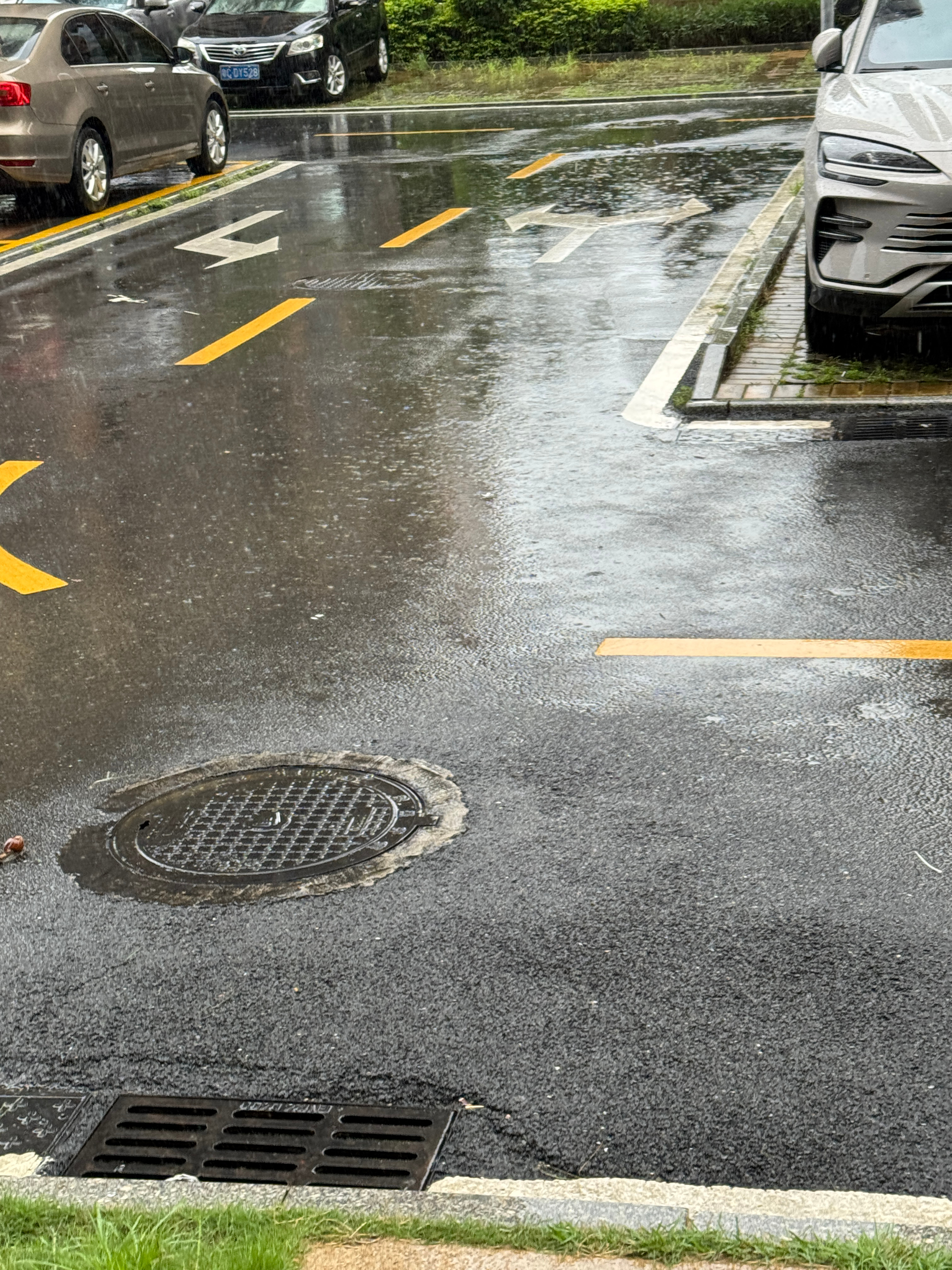 早～周一坏！又是一个暴雨天好讨厌…不过温度适宜可以穿长袖 