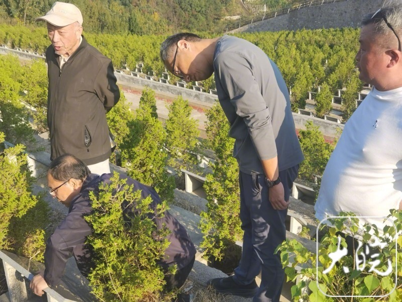 【#陈独秀外婆墓碑已运至独秀园#】#陈独秀母系家世添实物佐证#  10月29日，
