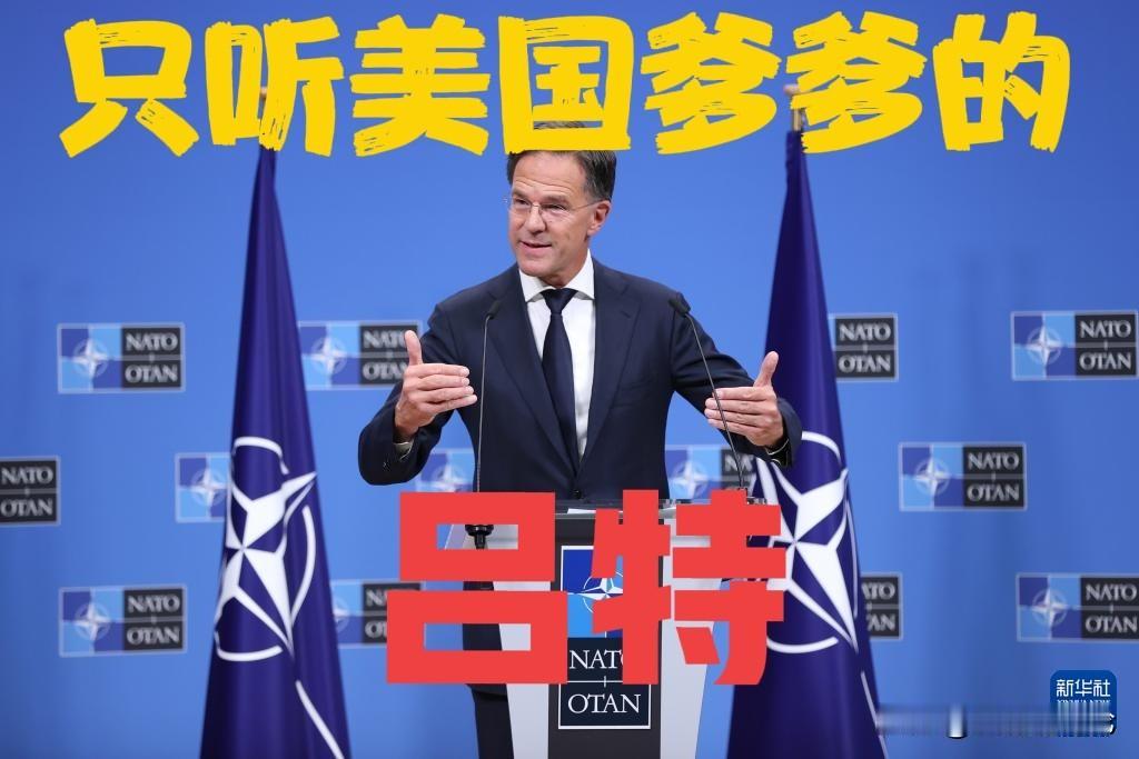 拿什么能拯救欧盟？

在拜登政府的支持下冯德莱恩成了欧盟的主席，在特朗普的支持下