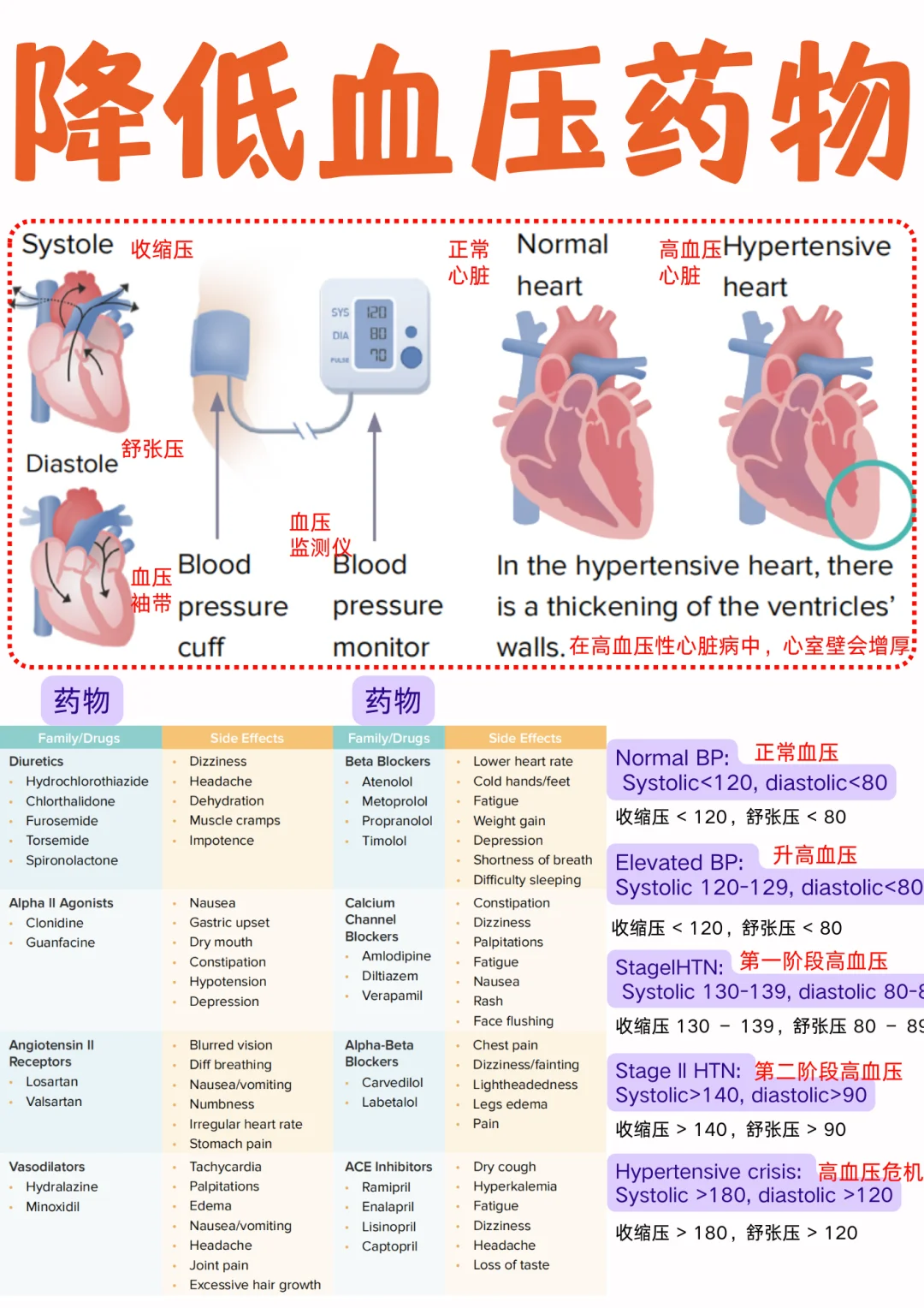 备考RN/降低血压药物！！学！！单词