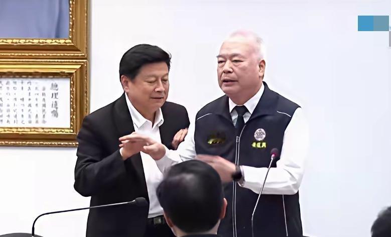 国民党没有党纪是事实，面对郑丽文领导的国民党，各方势力还有些不服气，特别是赵少康