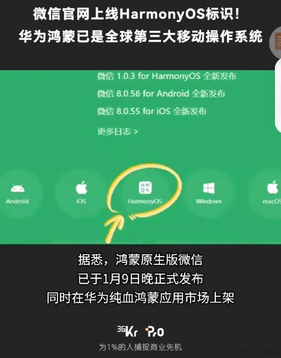 恭喜华为！鸿蒙系统标识已经出现，成为全球第三大操作系统。安卓、iOS、鸿蒙。在不