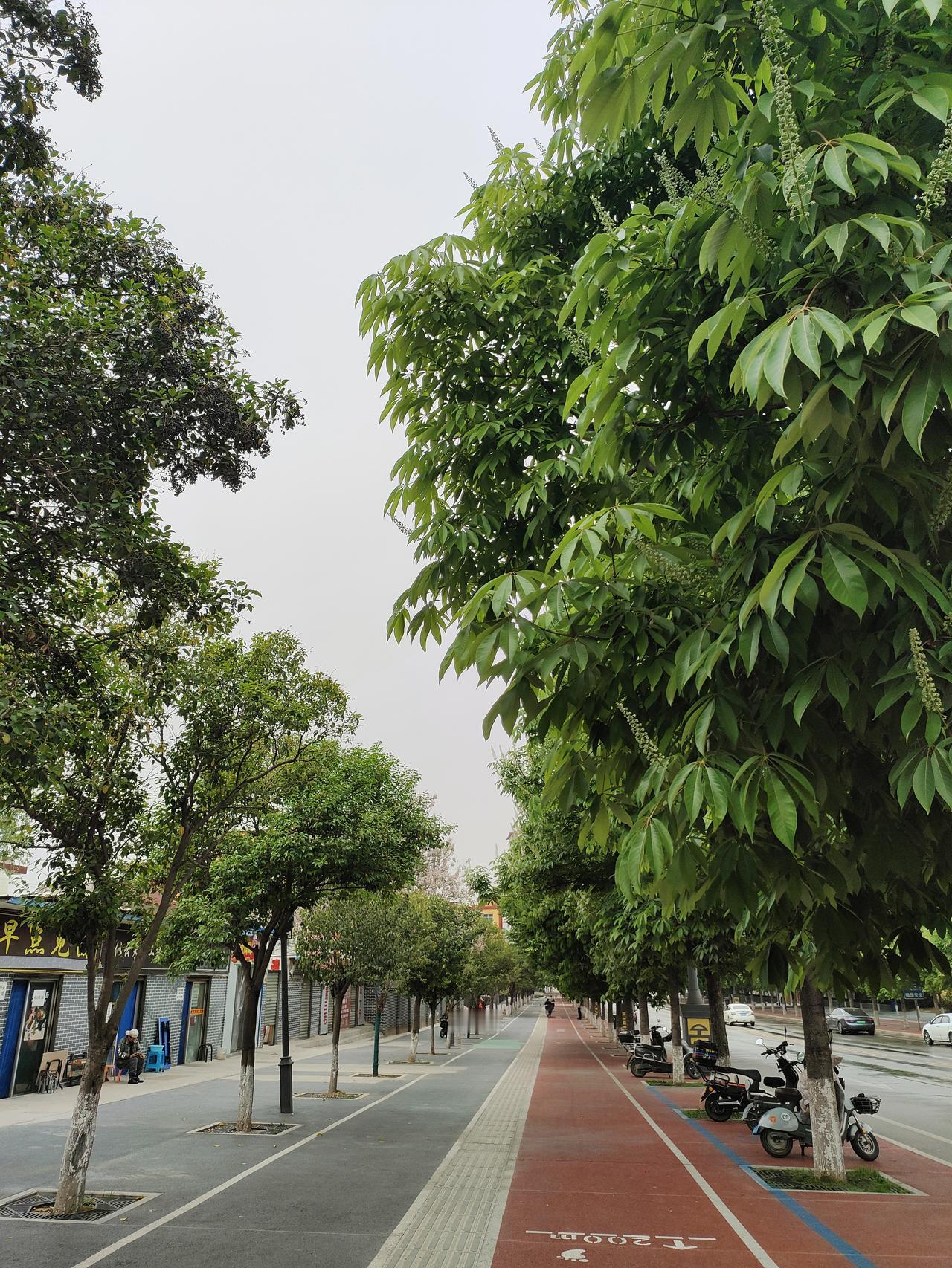 心软是把刀，刀刀割在自己身上
 
人这一辈子，最没用的毛病，大概就是心软。明明自