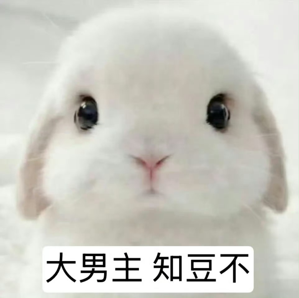 知豆知豆十日终焉 十日终焉欢迎来到终焉之地 十日终焉开机