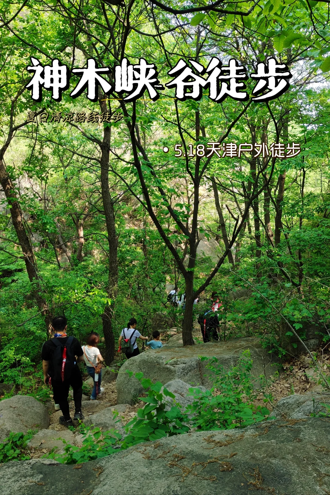 答应我，夏天徒步一定要去神木峡谷🚸