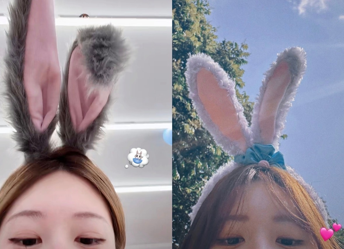 岁月是把杀猪刀 奈何露露小兔娇 