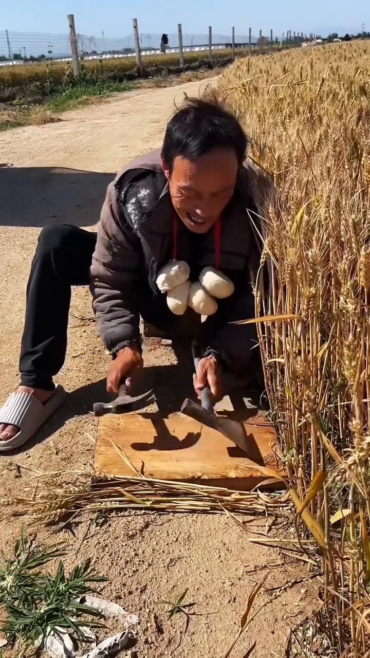 哈哈。