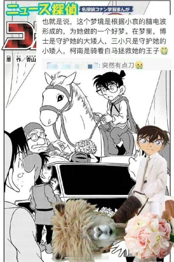 tg 没想到啊粉丝吹的单行本其实是柯南梦女，我们家哀癌可是大女主 ​​​