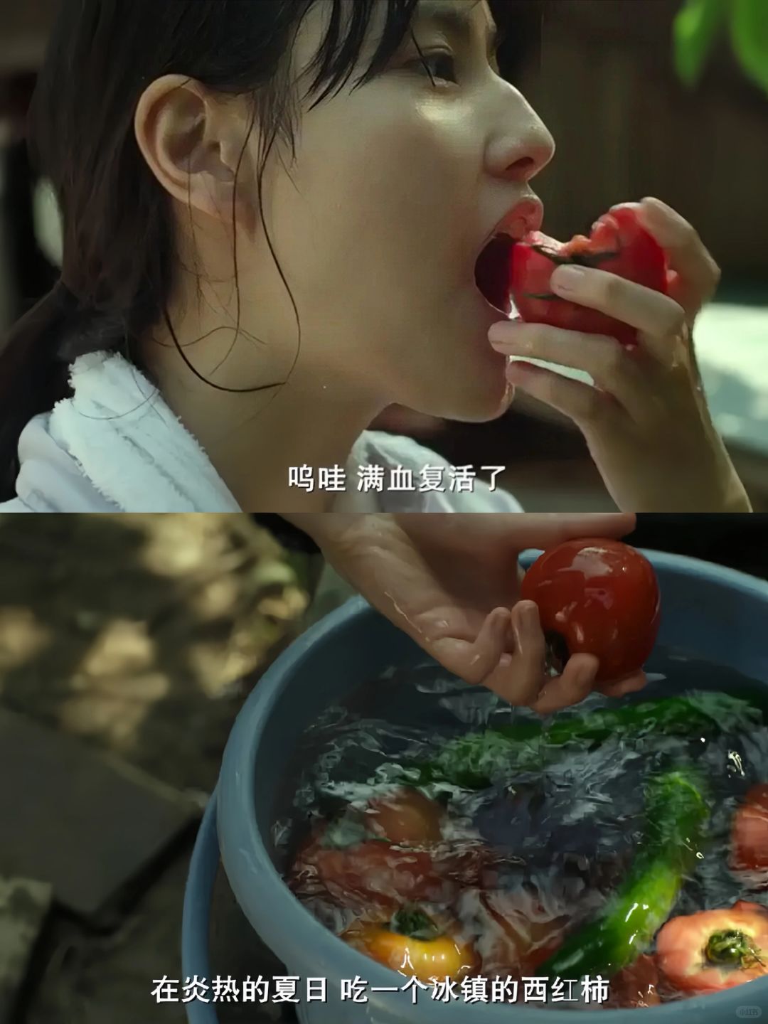 ✅豆瓣评分9.0🌵这部纪录片真的太治愈了