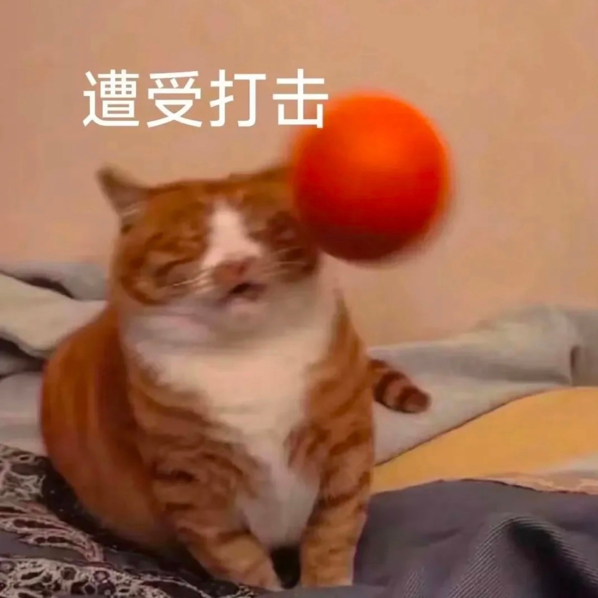 时隔这么久，一提起非分之想你们还是这么激动，这就是我完结以后你们冷落我的原因吗。
