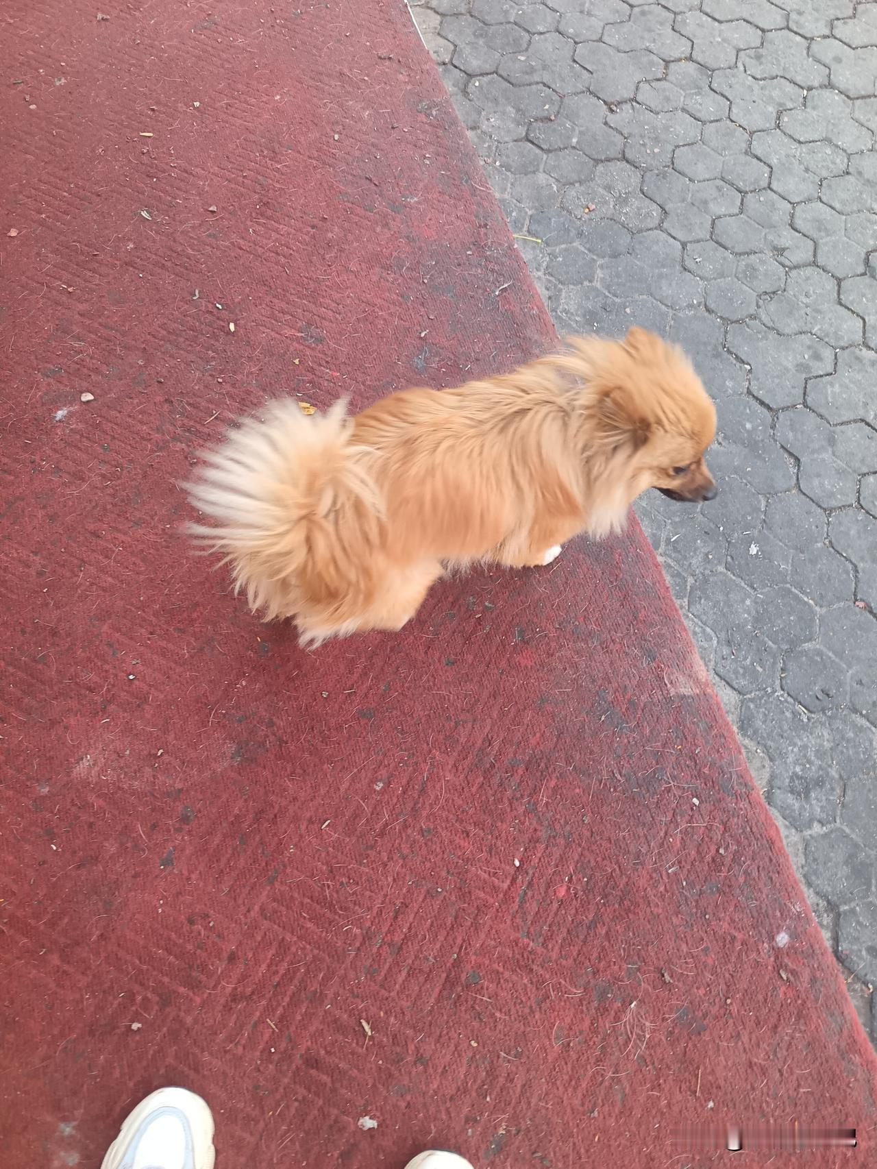 军国主义太过疯狂！王老师讲得对[赞][赞][赞]