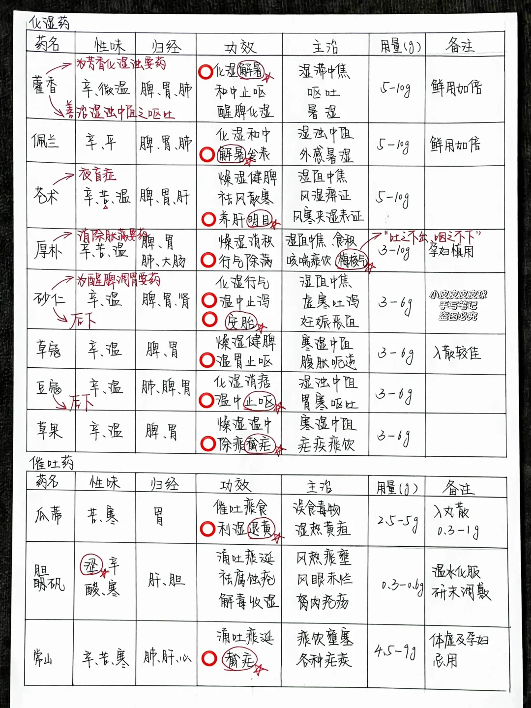 背中药的第N遍|今日盲默➕横向笔记汇总（9）