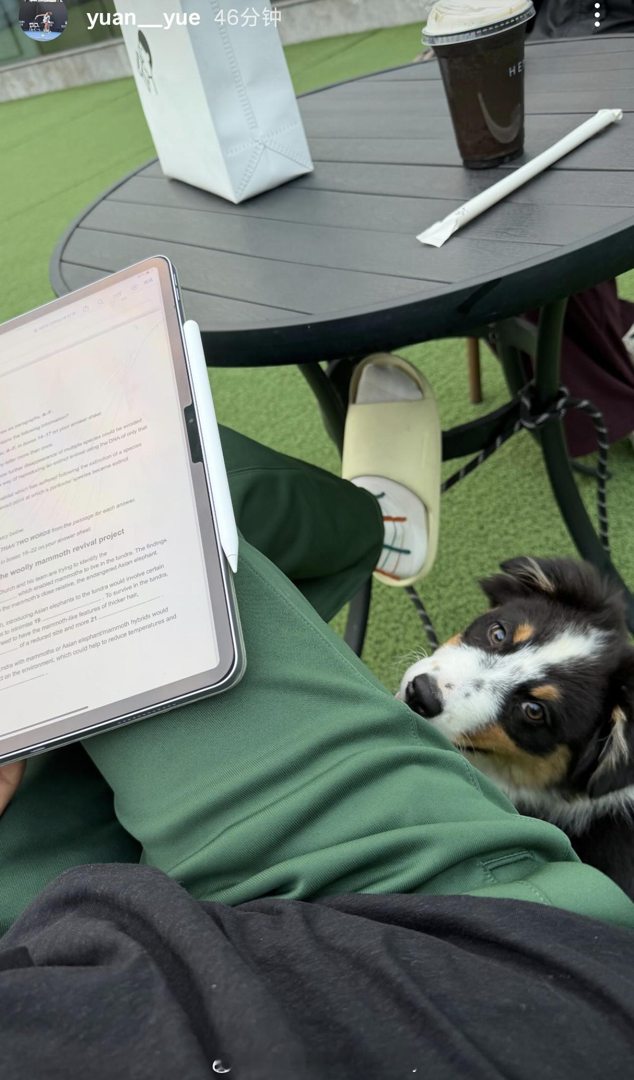 袁悦的惬意下午茶网球talking大会网球