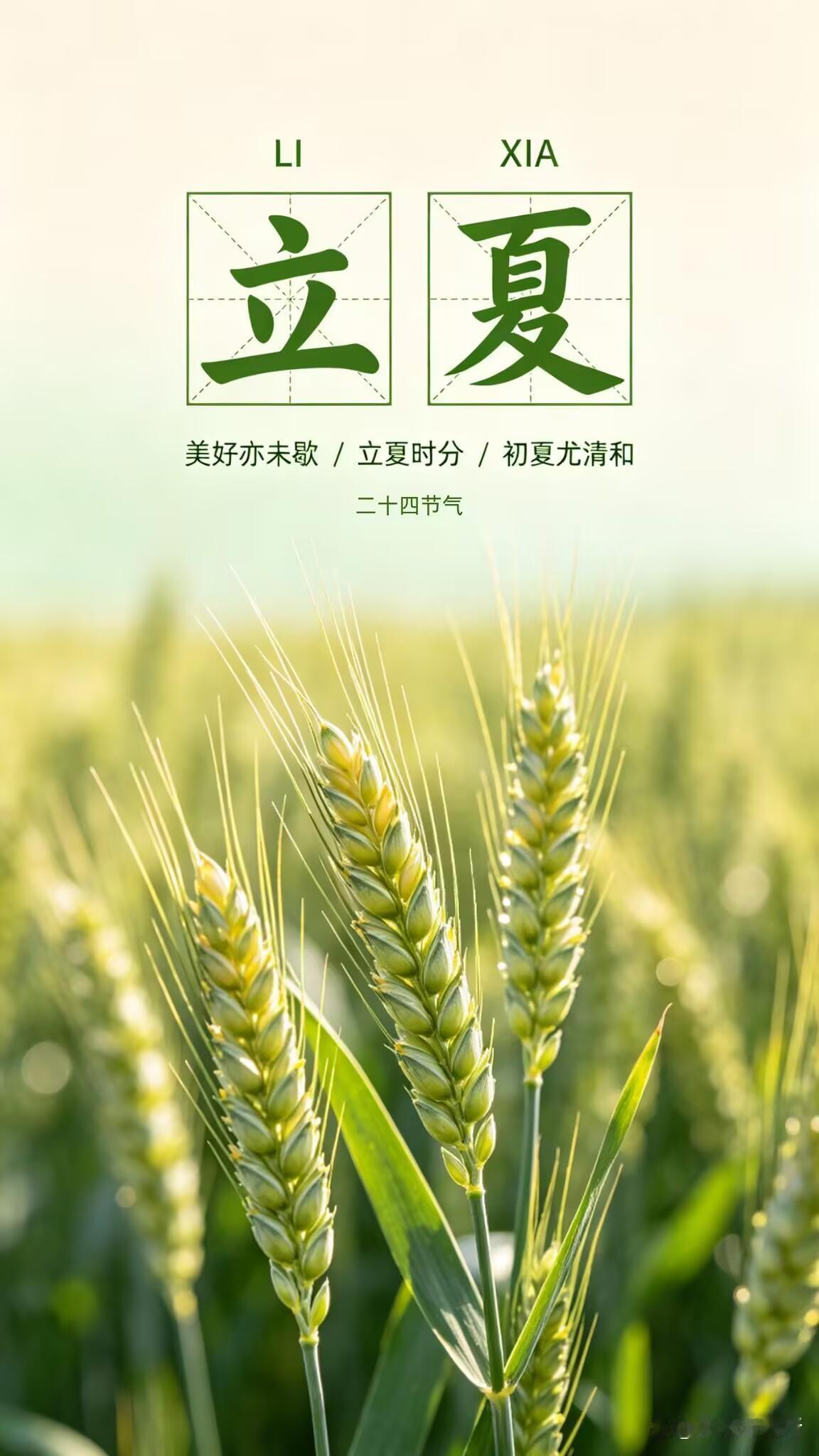 岁月逢立夏，烟火人间皆温柔。当节气流转至立夏，春天的嫩绿渐次转为夏日的浓郁。这是