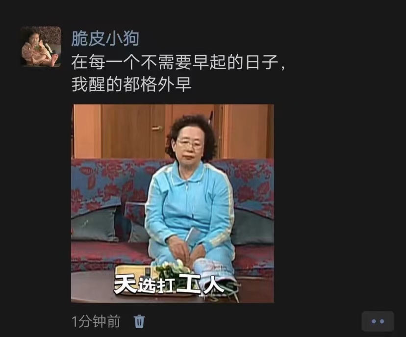 什么是天选打工人 ​​​