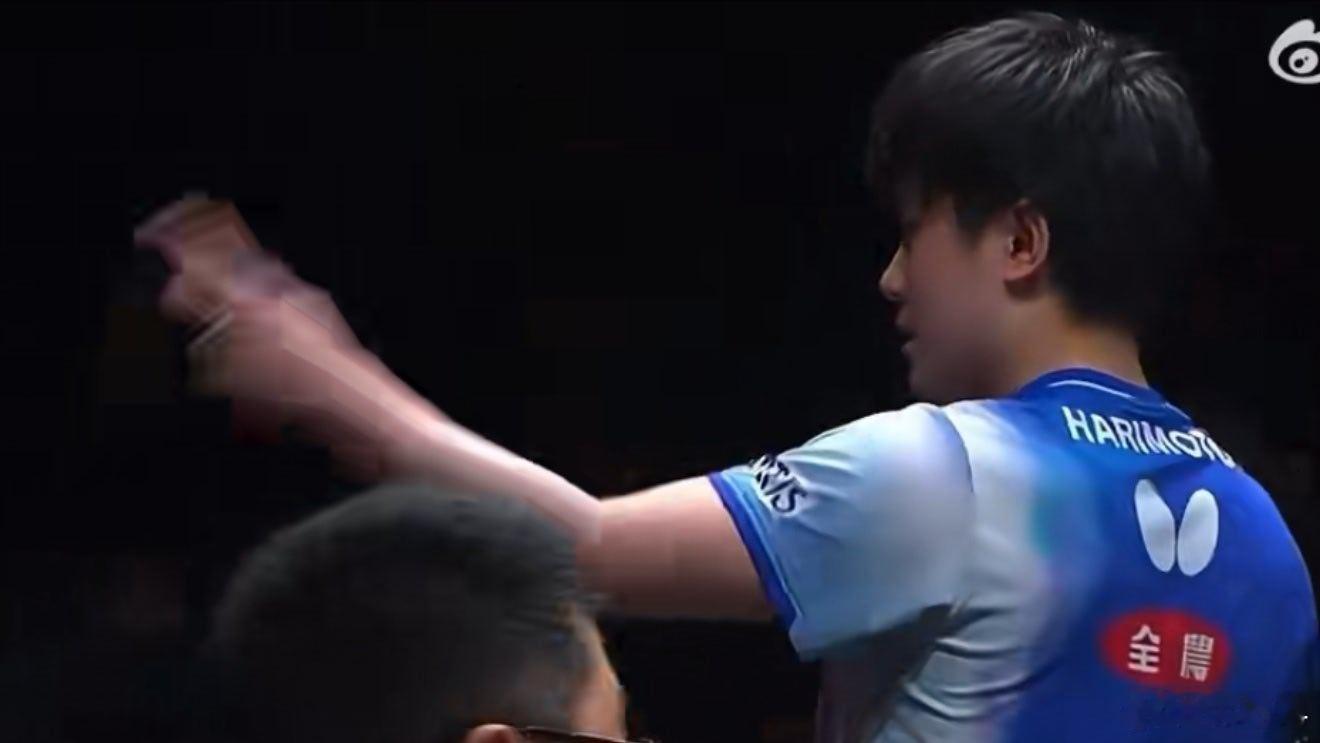 张本智和又又又致敬樊振东 不会有张本智和的粉丝吧？ 